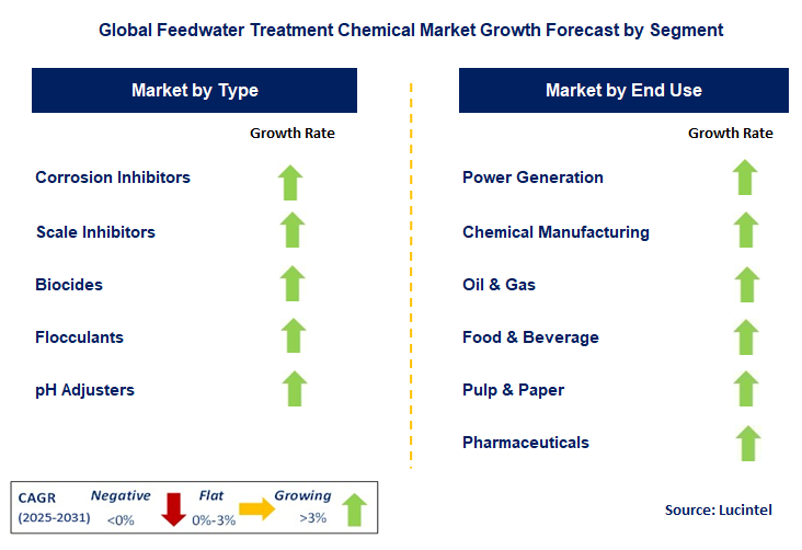Feedwater Treatment Chemical Market by Segment