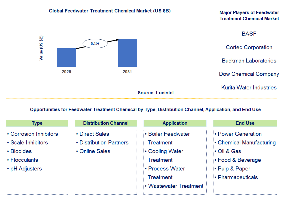Feedwater Treatment Chemical Market Trends and Forecast