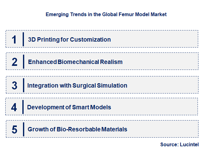 Emerging Trends in the Femur Model Market