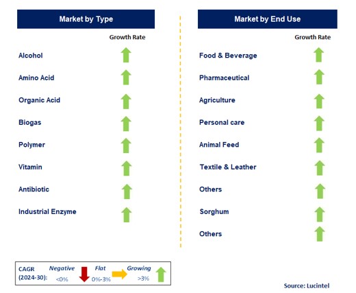 Fermentation Product by Segment