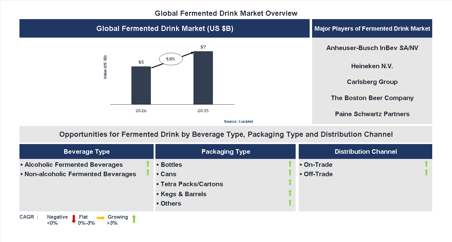 Fermented Drink Market Trends and Forecast