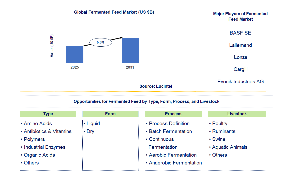 Fermented Feed Market Trends and Forecast