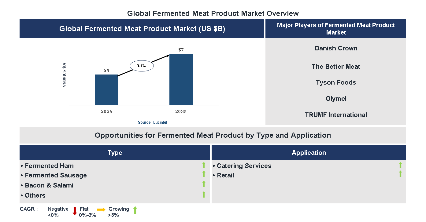 Fermented Meat Product Market Trends and Forecast
