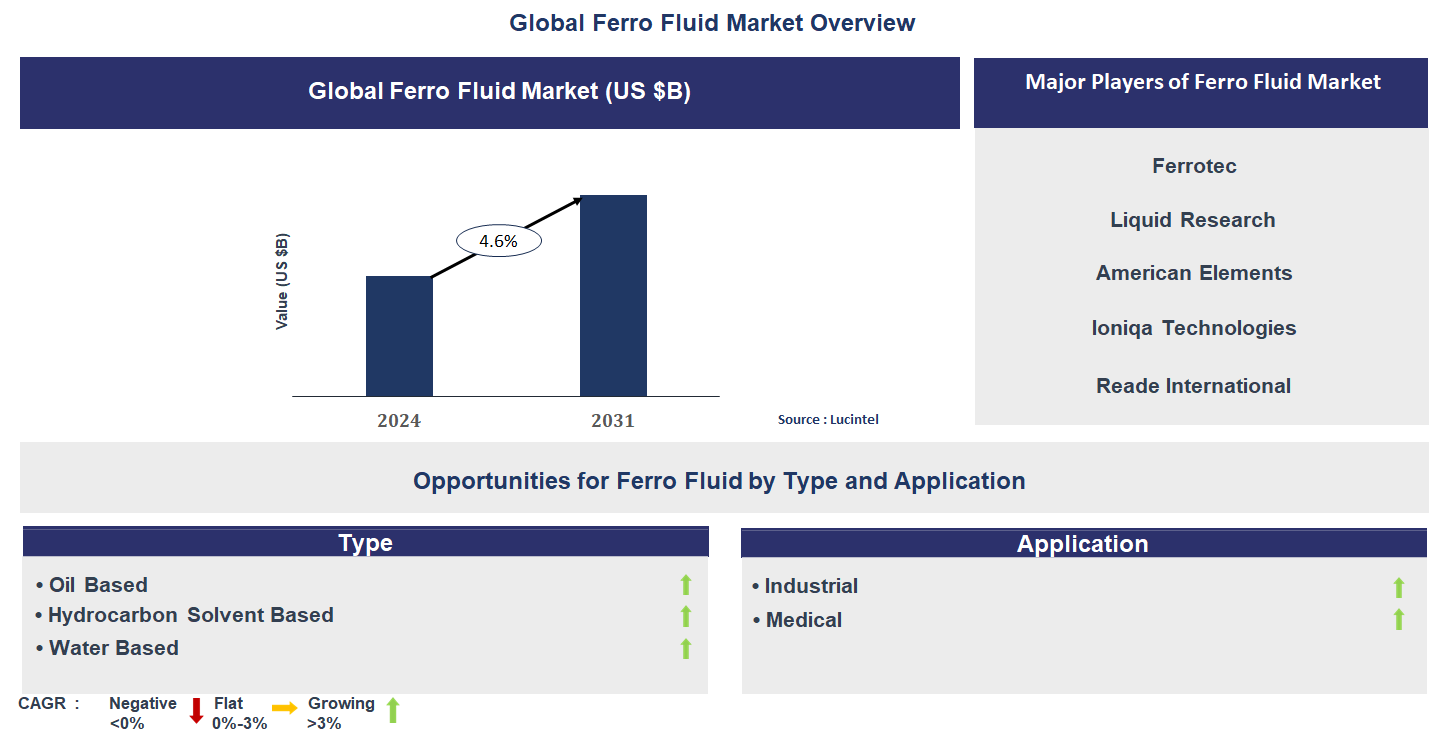 Ferro Fluid Market Trends and Forecast