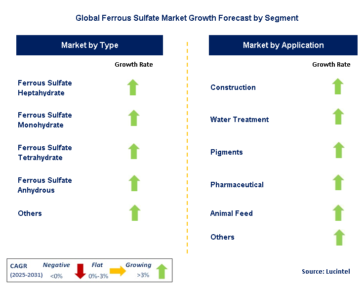 Ferrous Sulfate Market by Segment