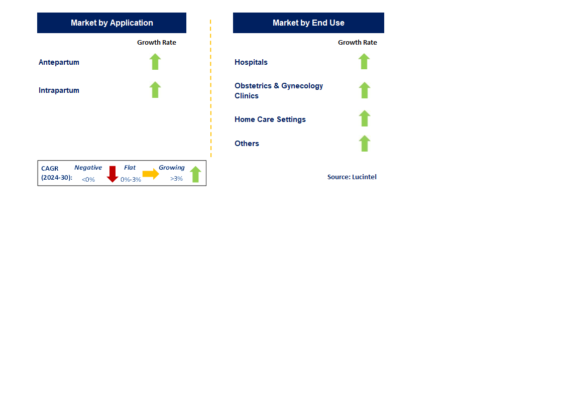 Fetal Monitoring by Segment