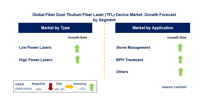 Fiber Dust Thulium Fiber Laser (TFL) Device Market by Segment