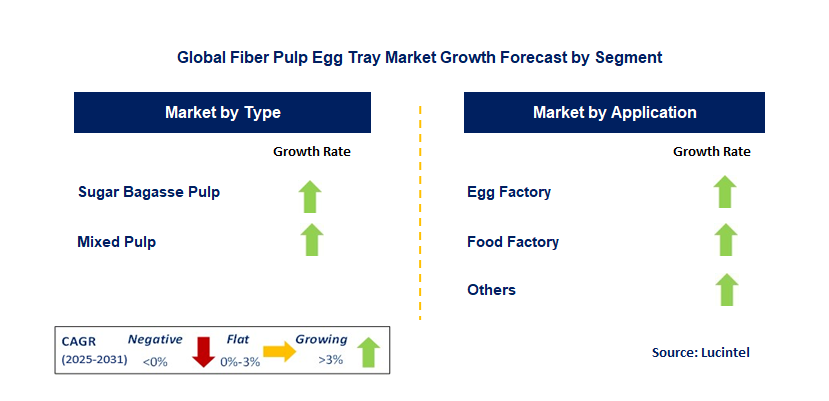 Fiber Pulp Egg Tray Market by Segment