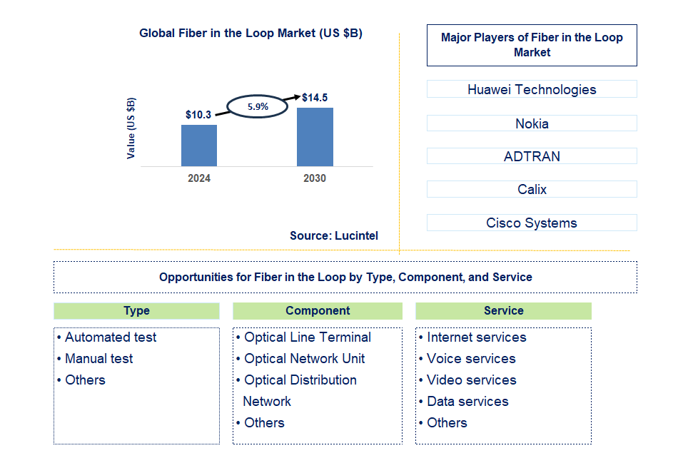 Fiber in the Loop Trends and Forecast