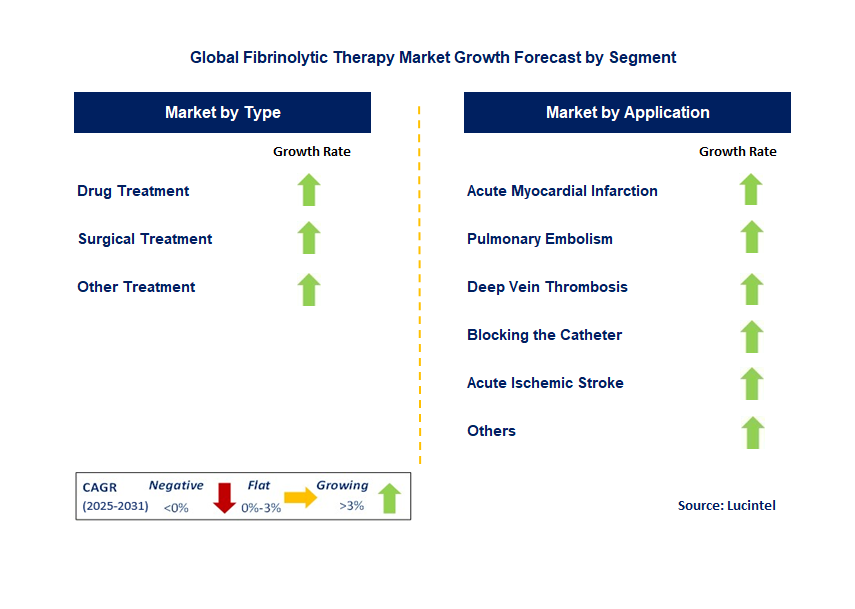Fibrinolytic Therapy Market by Segment