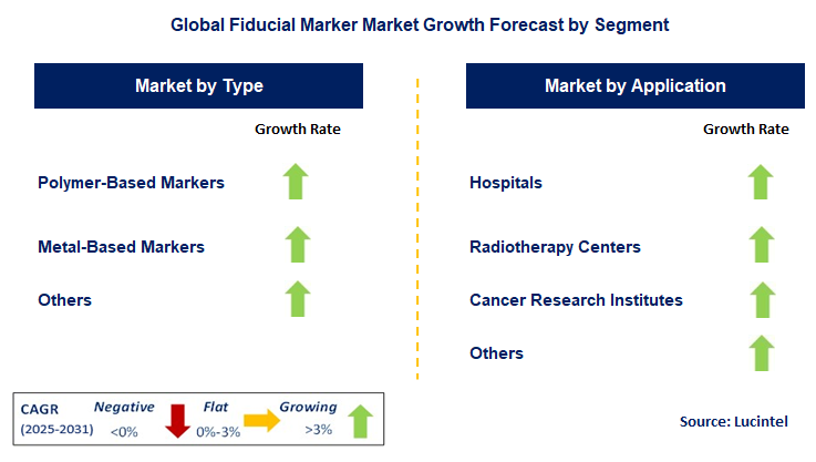 Fiducial Marker Market by Segment
