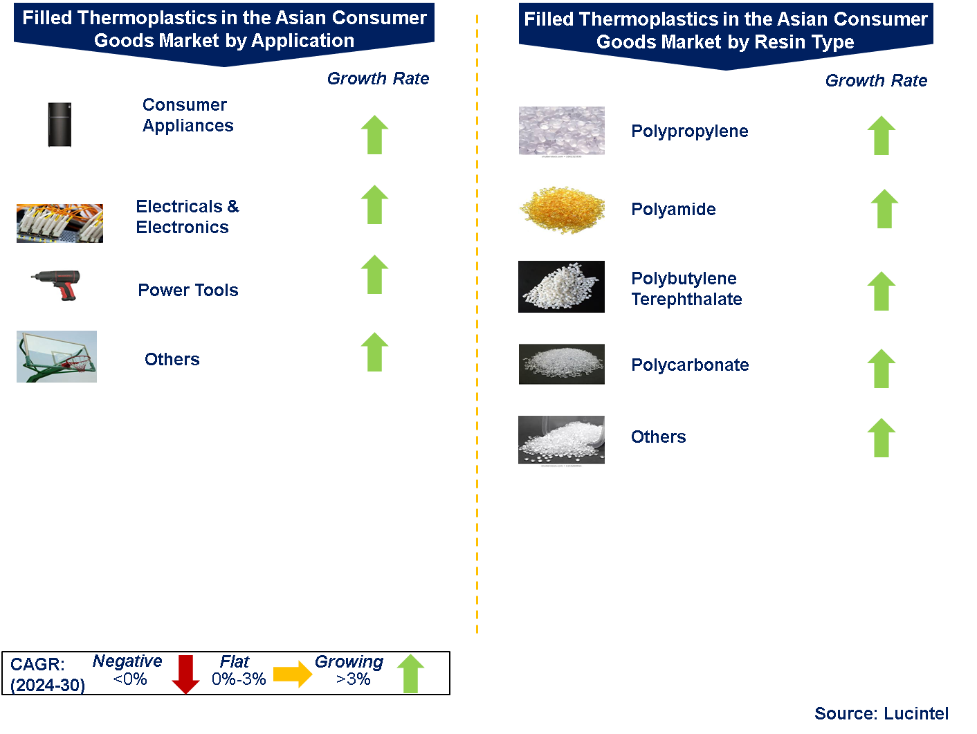 Filled Thermoplastics in the Asian Consumer Goods Market by Segments