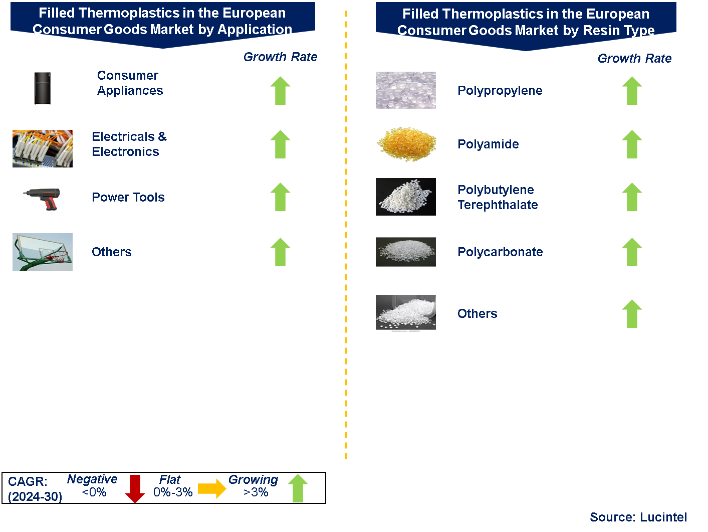 Filled Thermoplastics in the European Consumer Goods Market by Segments