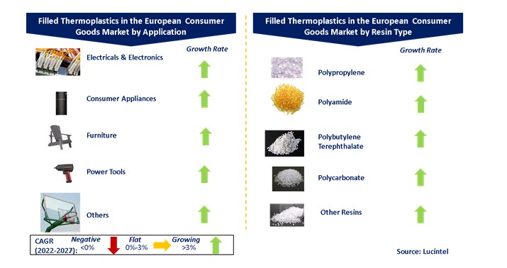 Filled Thermoplastic Composites in European Consumer Goods Market by Segments