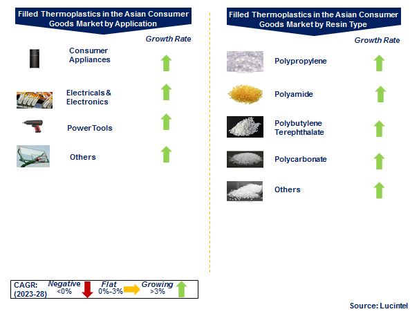 Filled Thermoplastics in the Asian Consumer Goods Market by Segments