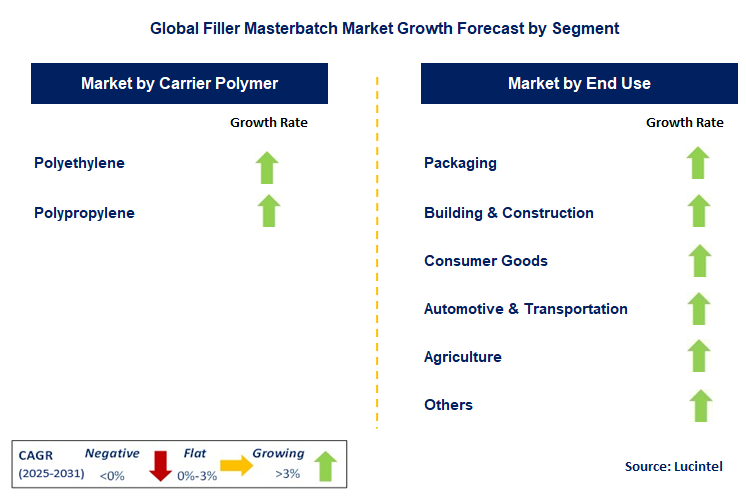 Filler Masterbatch Market by Segment