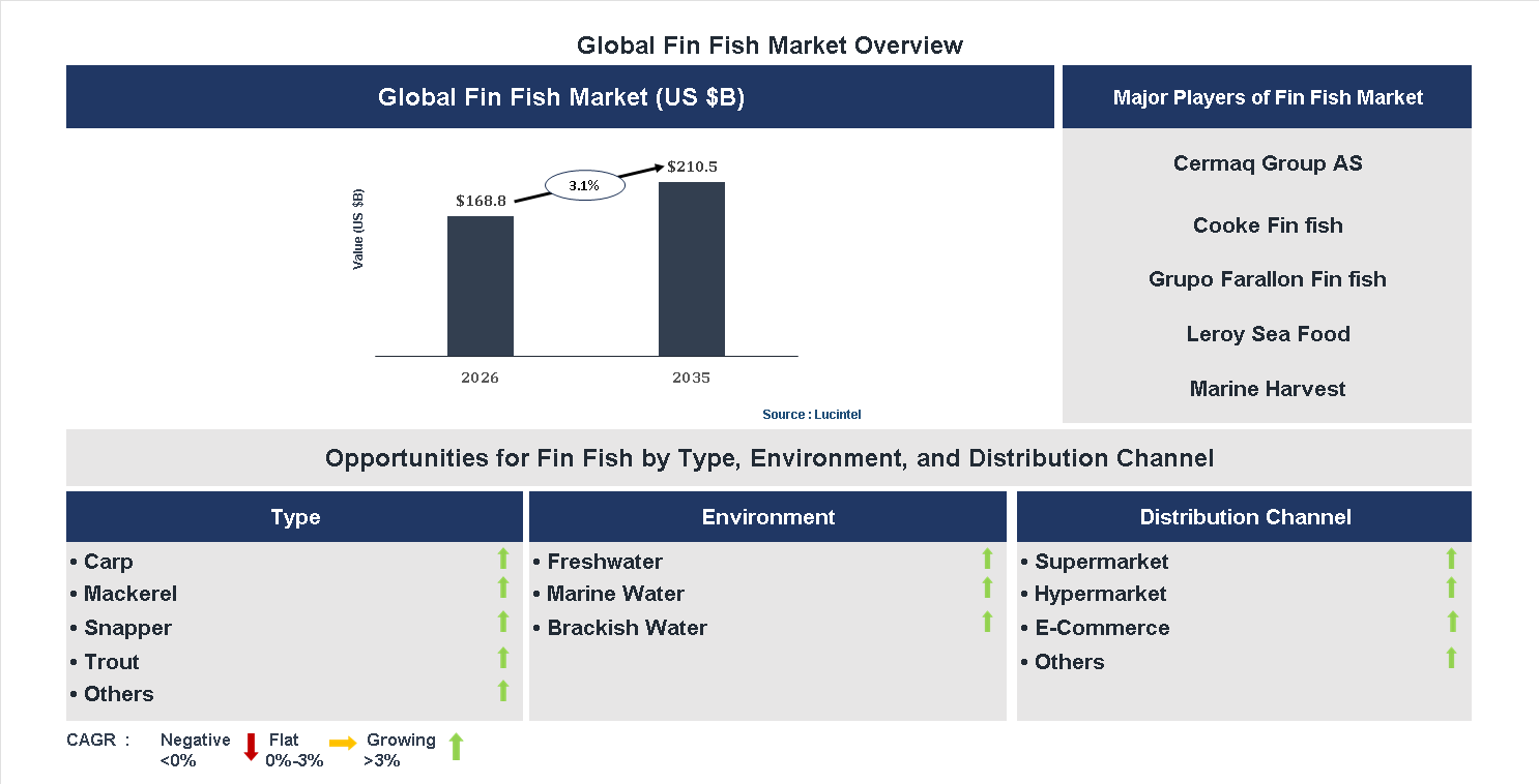 Fin Fish Market Trends and Forecast
