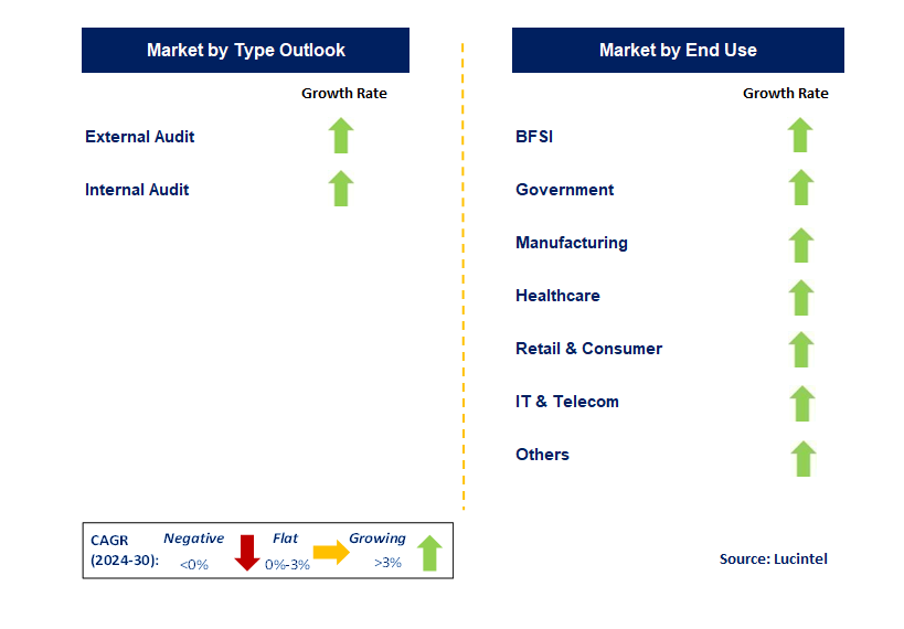 Financial Auditing Professional Service by Segment