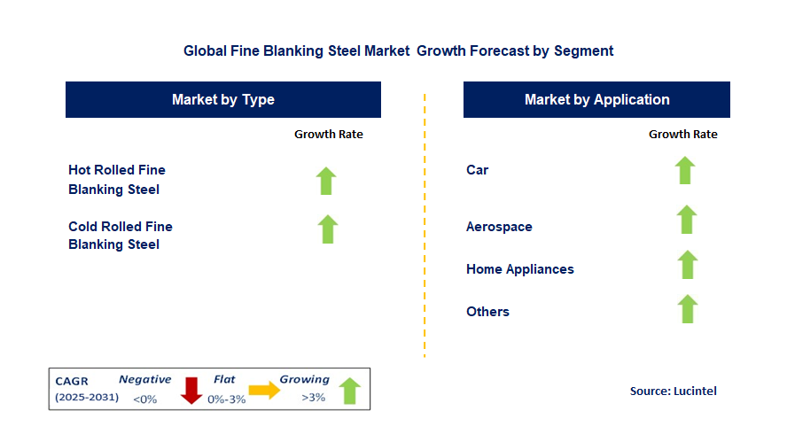 Fine Blanking Steel Market by Segment