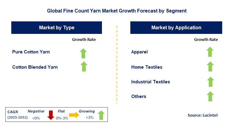 Fine Count Yarn Market by Segment