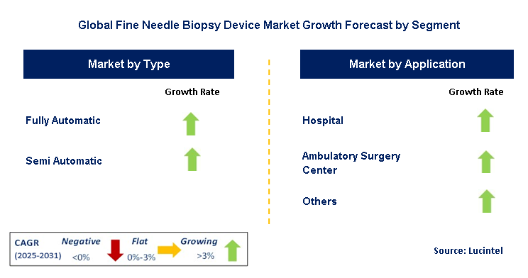 Fine Needle Biopsy Device Market by Segment