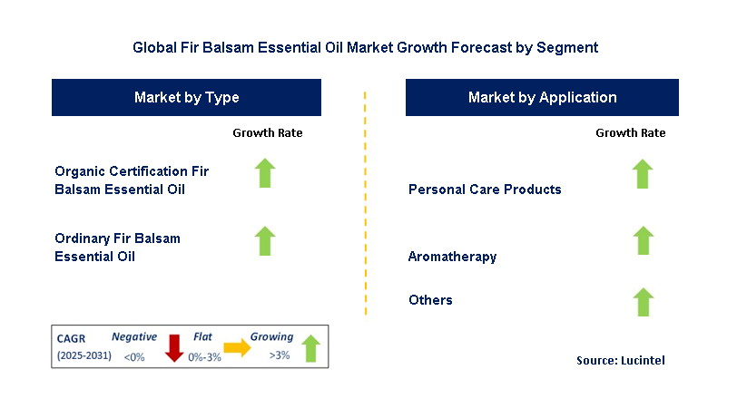 Fir Balsam Essential Oil Market by Segment