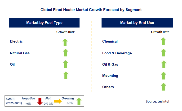 Fired Heater Market by Segment