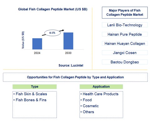 Fish Collagen Peptide Trends and Forecast