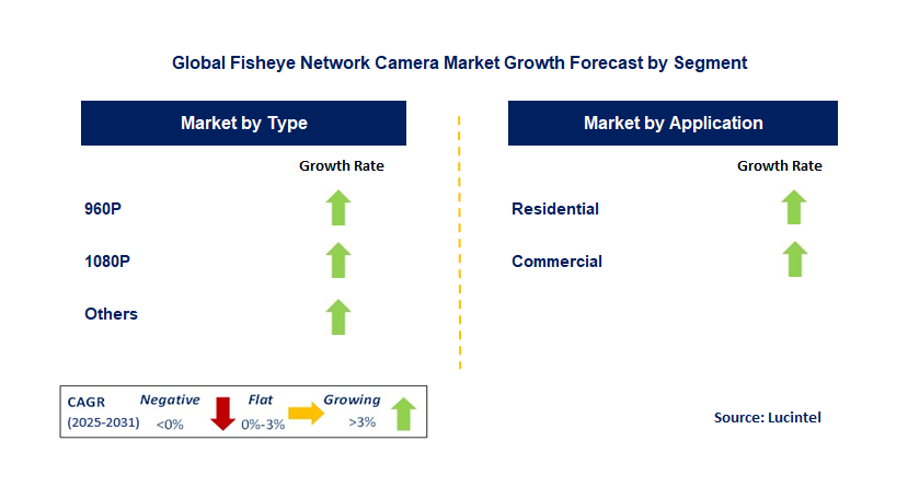 Fisheye Network Camera Market by Segment