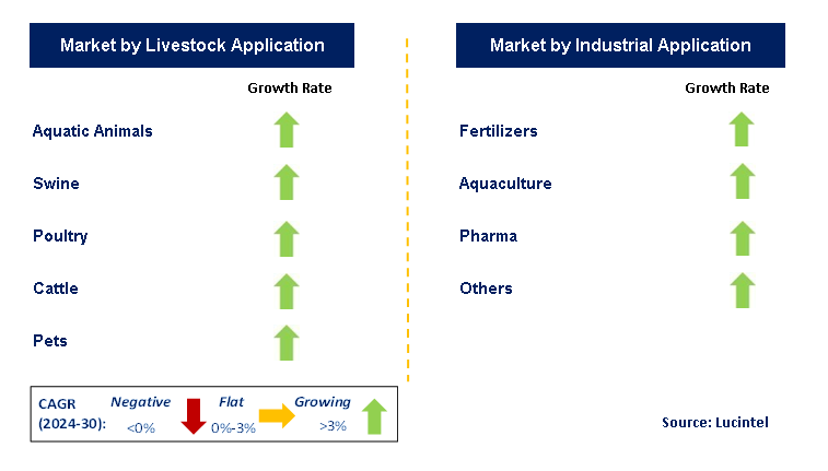 Fishmeal & Fish Oil by Segment