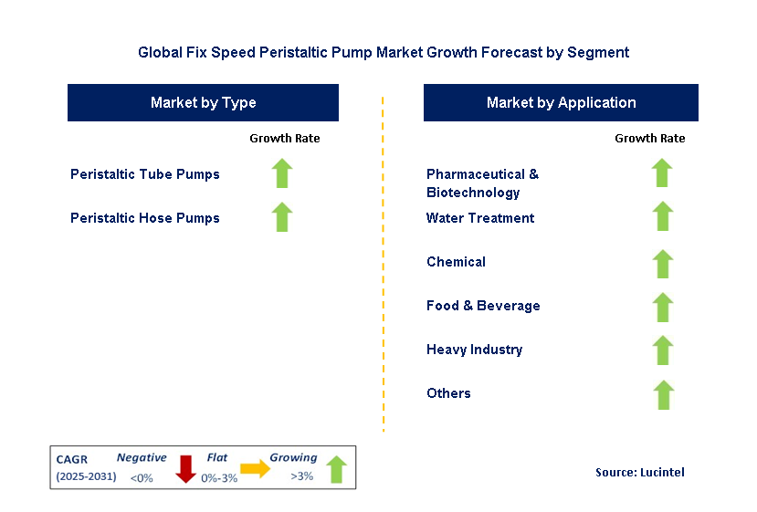 Fix Speed Peristaltic Pump Market by Segment