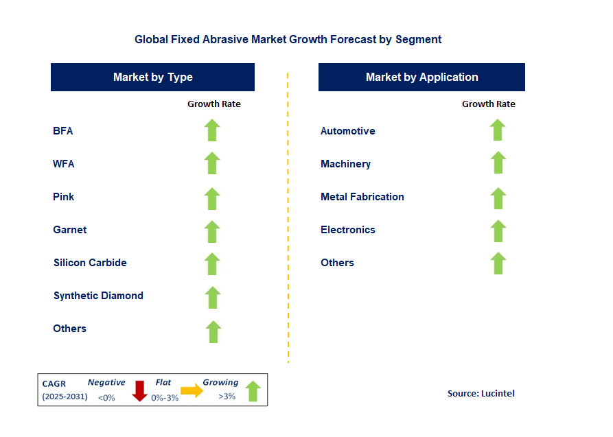 Fixed Abrasive Market by Segment