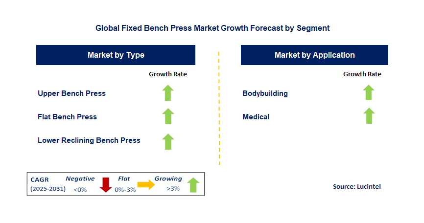 Fixed Bench Press Market by Segment