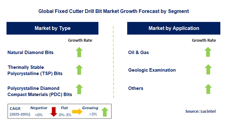 Fixed Cutter Drill Bit Market by Segment