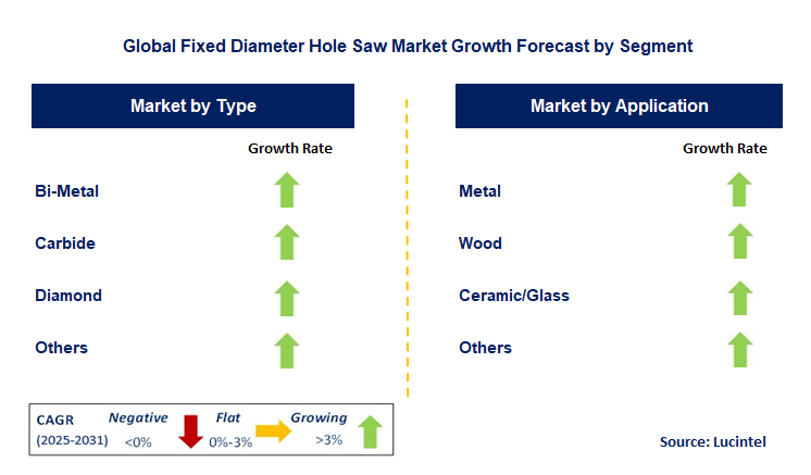 Fixed Diameter Hole Saw Market by Segment
