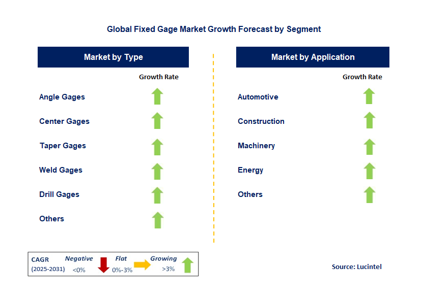 Fixed Gage Market by Segment