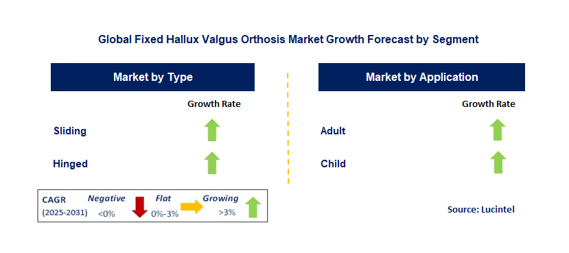 Fixed Hallux Valgus Orthosis Market by Segment