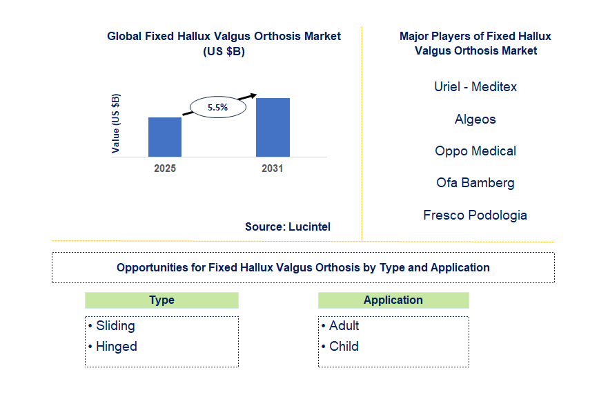 Fixed Hallux Valgus Orthosis Market Trends and Forecast