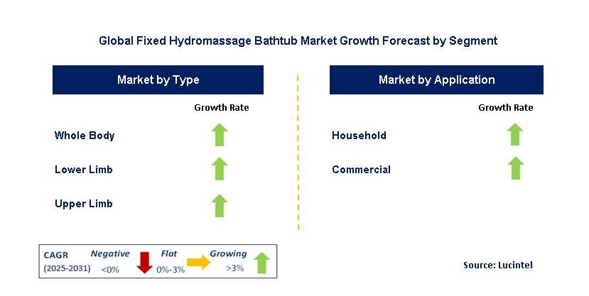Fixed Hydromassage Bathtub Market by Segment