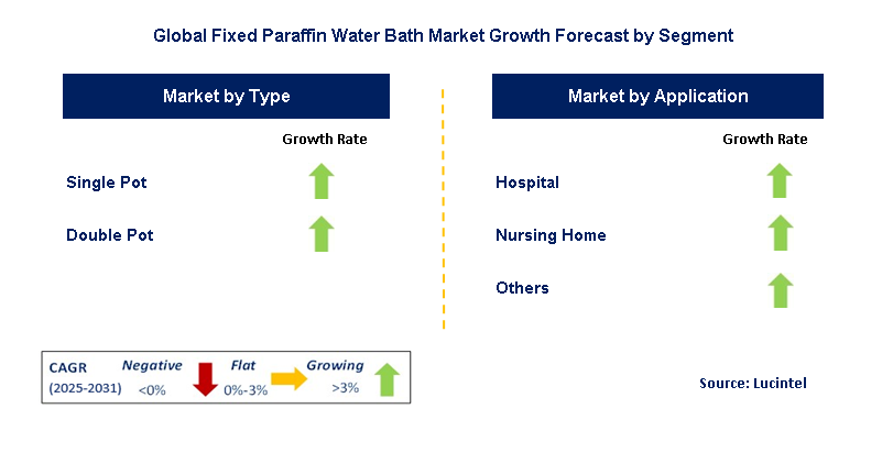 Fixed Paraffin Water Bath Market by Segment