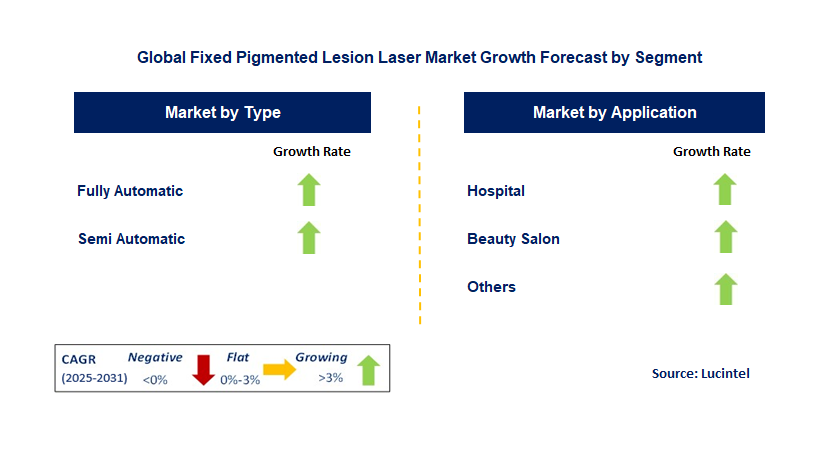 Fixed Pigmented Lesion Laser Market by Segment