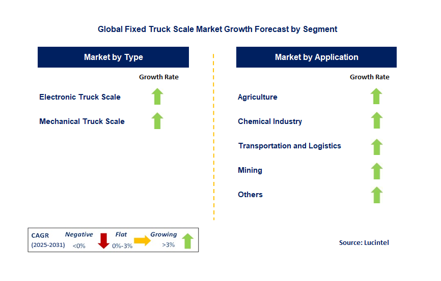 Fixed Truck Scale Market by Segment