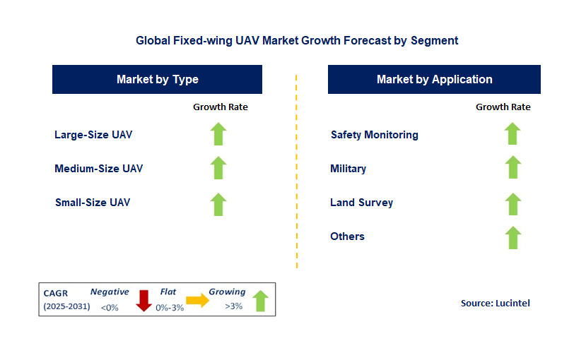 Fixed-Wing UAV Market by Segment
