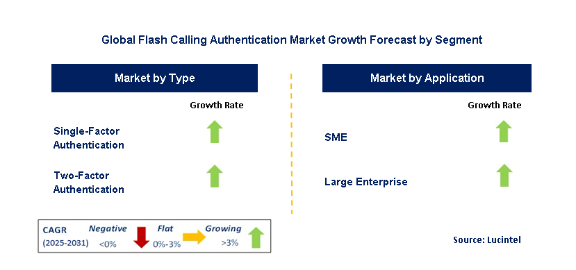 Flash Calling Authentication Market by Segment