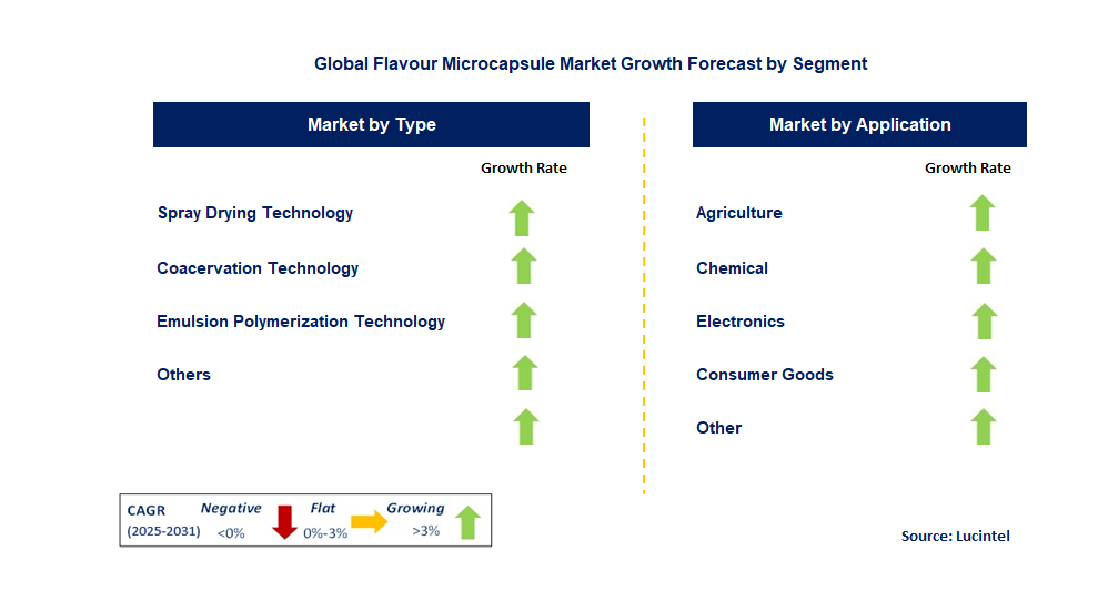 Flavour Microcapsule Market by Segment