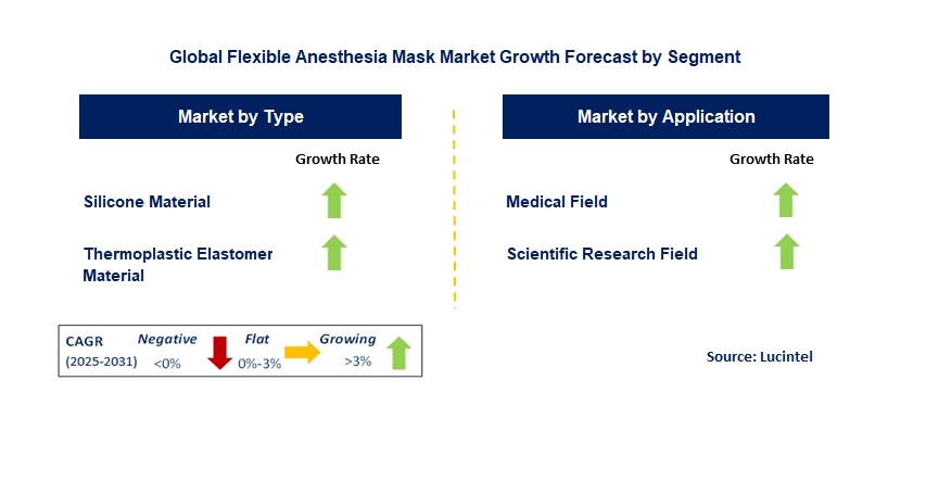 Flexible Anesthesia Mask Market by Segment