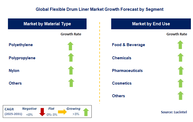Flexible Drum Liner Market by Segment