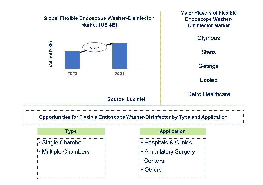 Flexible Endoscope Washer-Disinfector Market Trends and Forecast