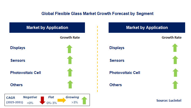 Flexible Glass Market by Segment