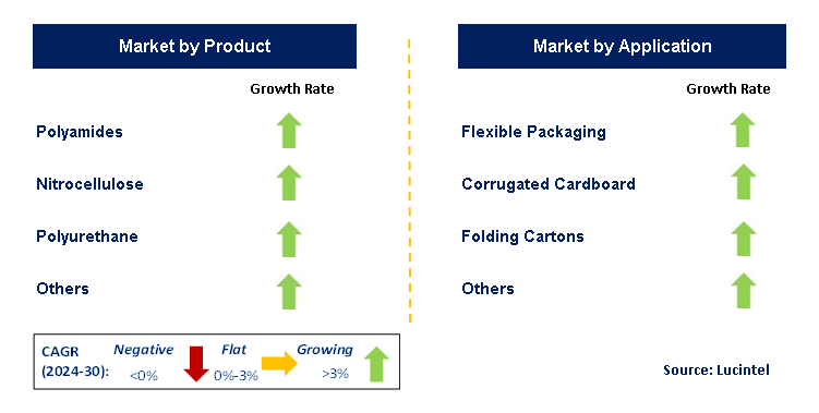 Flexible Printing Ink by Segment